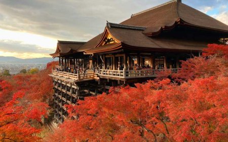 A Cozy and Colorful Autumn