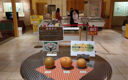 Japanese Pears From Tottori Prefecture Sold in the Philippines