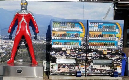 Vending machines are everywhere