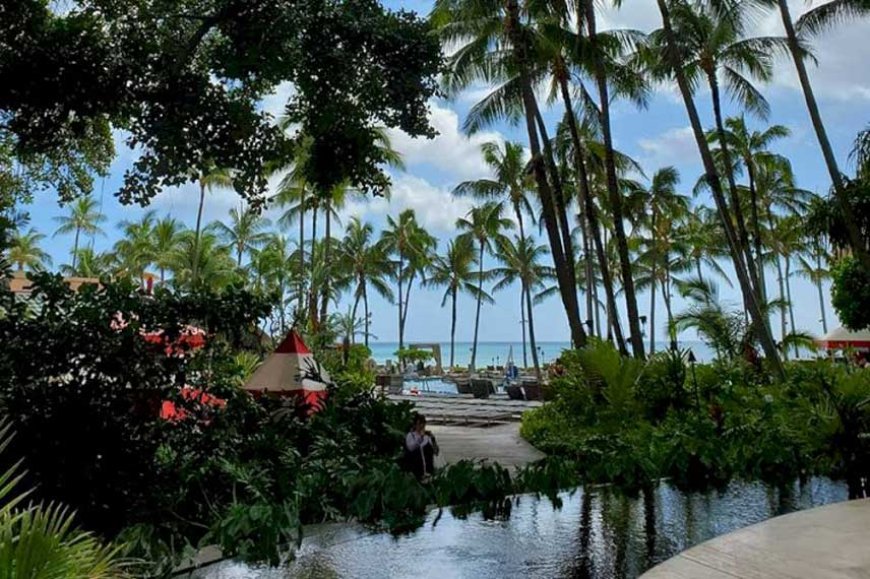 sheraton beach front hotel in waikiki honolulu