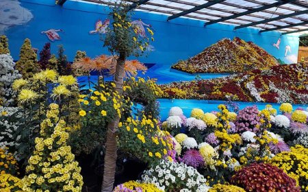 Golden Week In Japan 2023