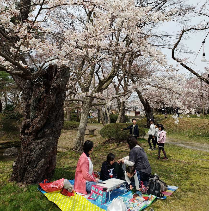 Spring in Japan 2023