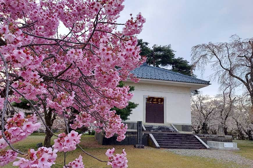 Spring in Japan