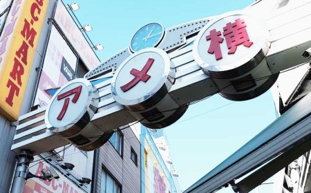 Exploring the Vibrant Charm of Ameyoko in Ueno, Japan