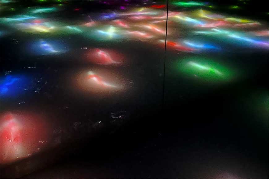teamLab Planets TOKYO: Where Art, Technology, and Imagination Collide