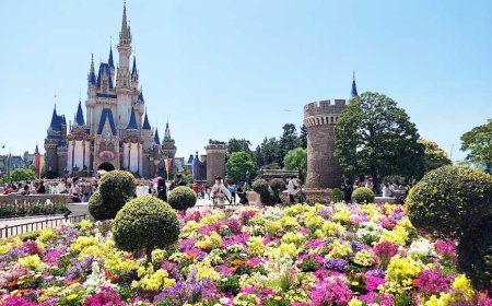 Tokyo Disneyland at 40: Celebrating Four Decades of Magic and Imagination