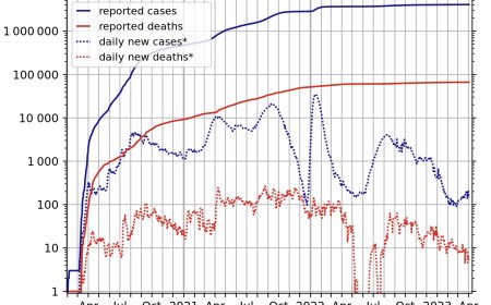 After a Year with Coronavirus