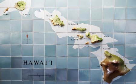 Hawaii: A Favorite Destination for Many Japanese Tourists