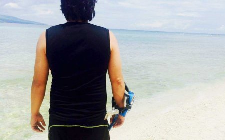 Swimming with the Gentle Giants