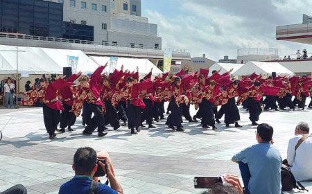 Niigata Sou-odori Festival