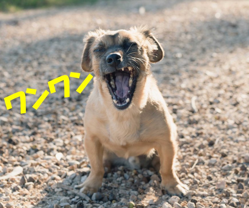 onomatopoeia-in-the-japanese-language-04
