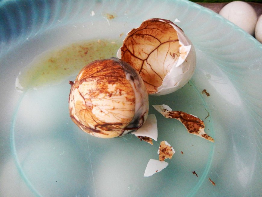 balut-the-filipino-culinary-adventure-04