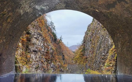 Tunnel of Light at Kiyotsu Gorge in Niigata