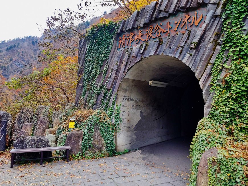 tunnel-of-light-at-kiyotsu-gorge-in-niigata-05