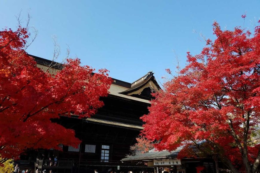 autumn-in-japan-a-symphony-of-colors-and-culture-02