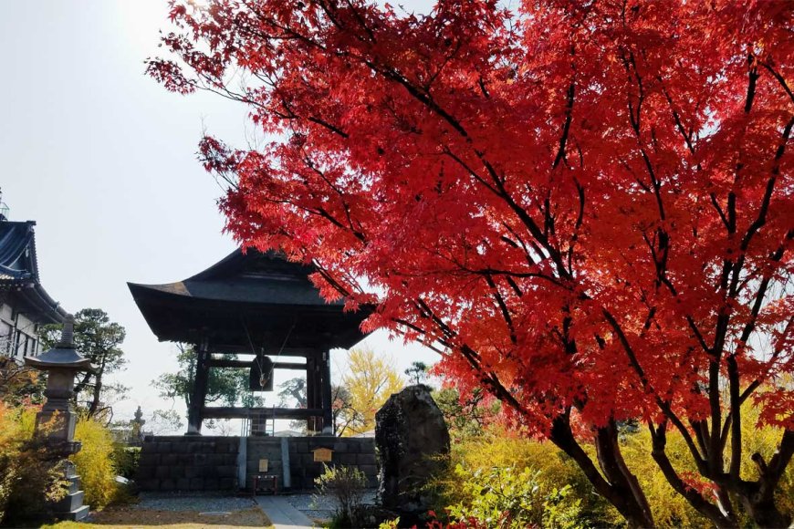 autumn-in-japan-a-symphony-of-colors-and-culture-03