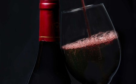 Bugnay Wine: The Exquisite Filipino Wine