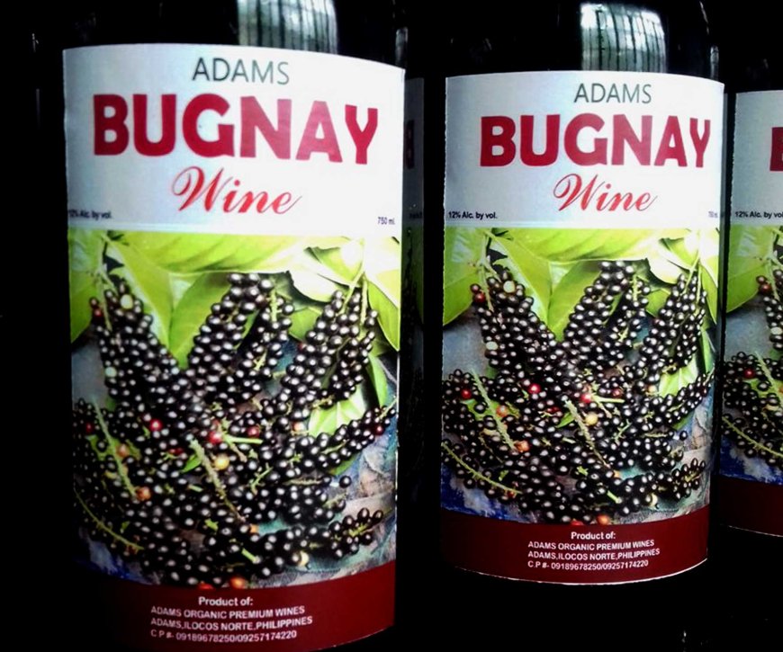 bugnay-or-bignay-wine-the-exquisite-filipino-treasure-05