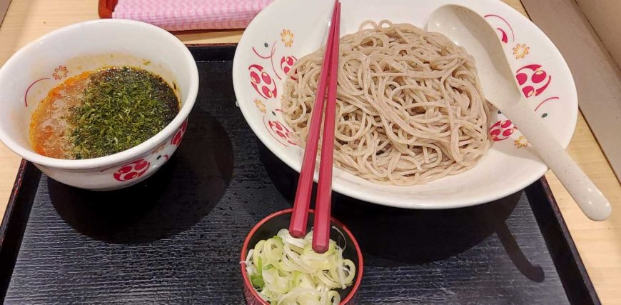 visiting-japan-05