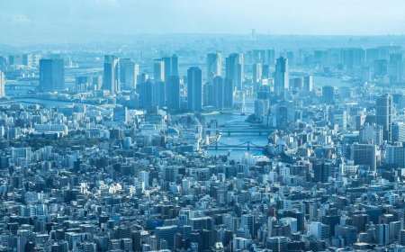 A Day Around Tokyo: Exploring the Dynamic Metropolis from Dawn till Dusk