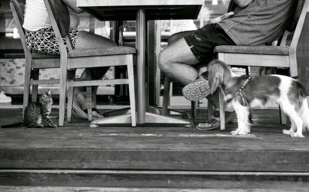 Hilariously Filipino