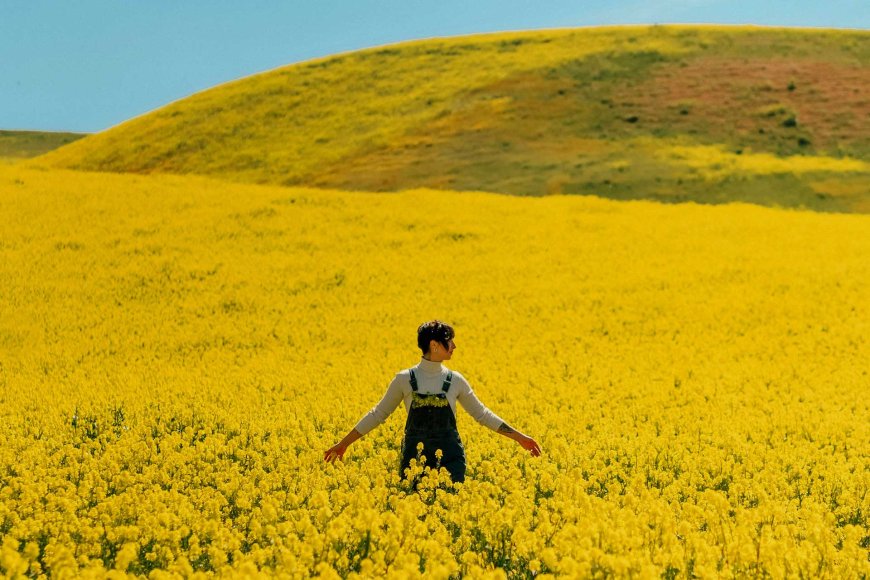 blooming-traditions-celebrating-japans-spring-equinox-holiday-04