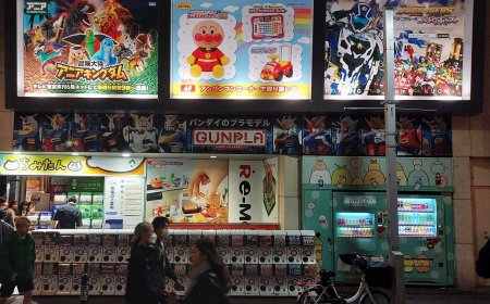 The Fascinating and Bizarre in Japan