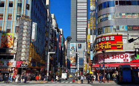 Surprising Facts That Amaze Foreigners In Japan