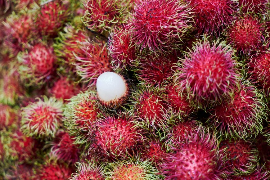 tropical-temptations-exploring-the-top-10-fruits-of-the-philippines-12