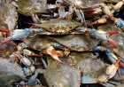 What is the Origin of Crab Mentality in the Philippines?