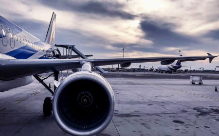 Why Japan Has So Many 'Never Travelers'