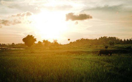 Poverty in the Philippines: Understanding its Root Causes