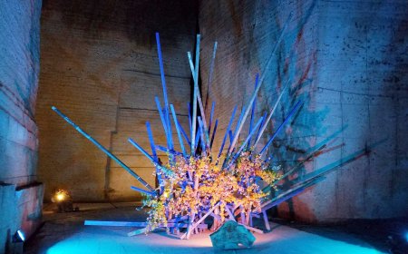 Echoes of Oya: Tochigi's Enigmatic Underground Quarry