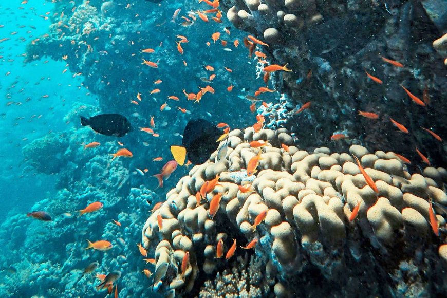 philippines-beaches-shine-in-the-beachatlas-golden-beach-award-2024-09