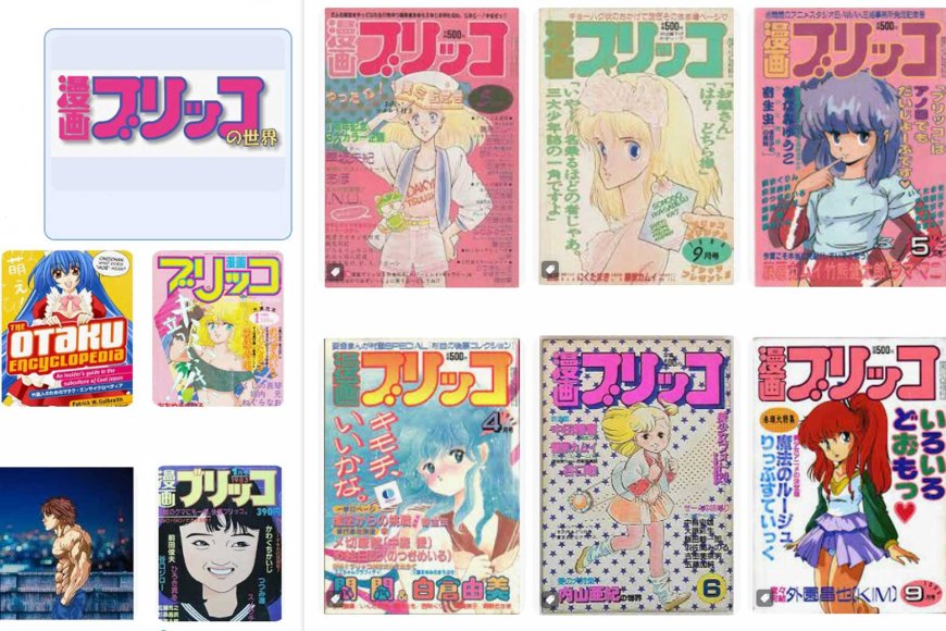 the-evolution-and-culture-of-otaku-in-japan-03