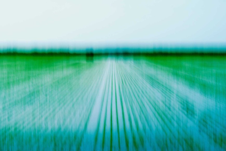 tsuyu-japans-rainy-season-04