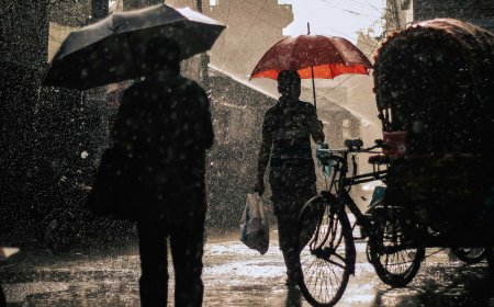 Warm and Cozy: Filipino Foods to Enjoy During the Rainy Season