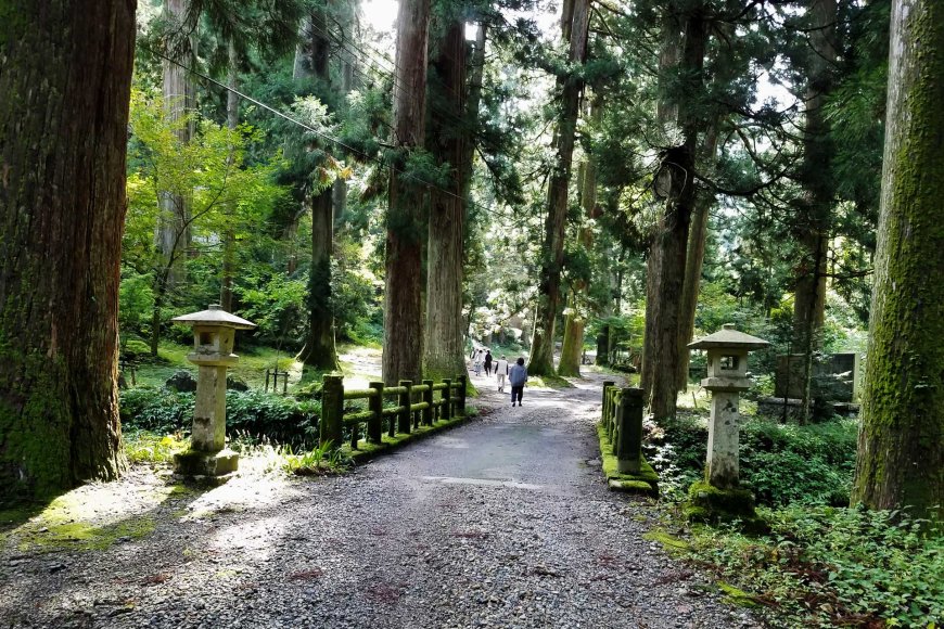 the-japanese-way-unveiling-the-secrets-of-health-and-longevity-05