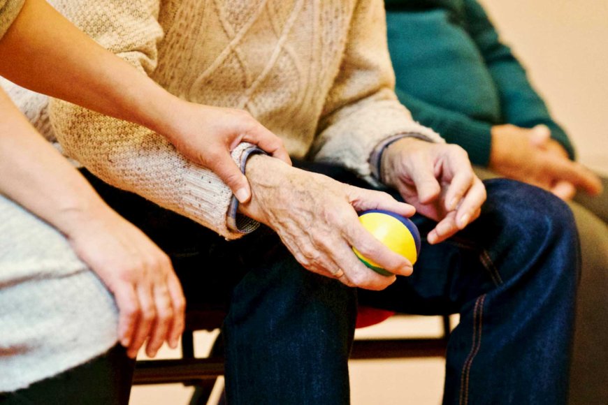 the-japanese-way-unveiling-the-secrets-of-health-and-longevity-07