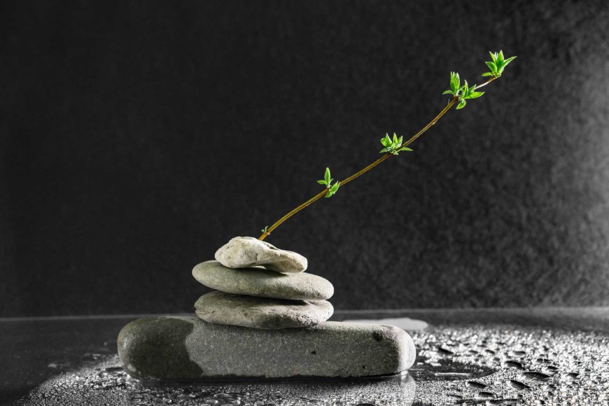 the-essence-of-wa-harmony-in-japanese-culture-07