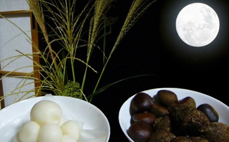 Tsukimi: The Japanese Tradition of Moon Viewing
