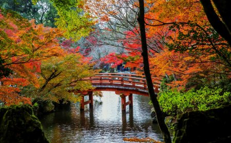 Autumn in Japan: The Season of Harvest and Celebration