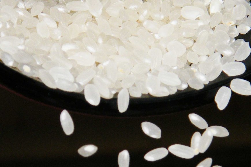 Niigata Begins Koshihikari Rice Shipments - Nipino.com - Bridging Japan ...