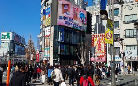 Japan’s Upcoming Social Changes