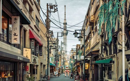 Understanding "放題" in Japanese