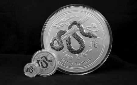 Year of the Snake 2025: A Transformative Journey Awaits