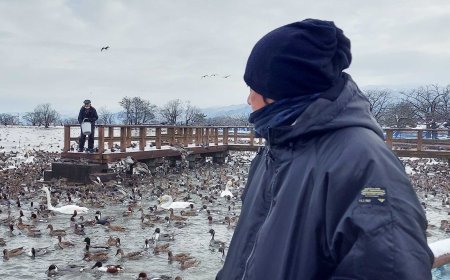 A Morning at Lake Hyōko