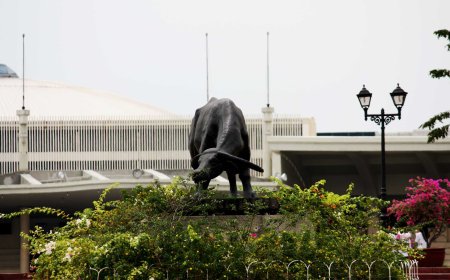 10 Filipino Habits That Might Surprise Japanese People