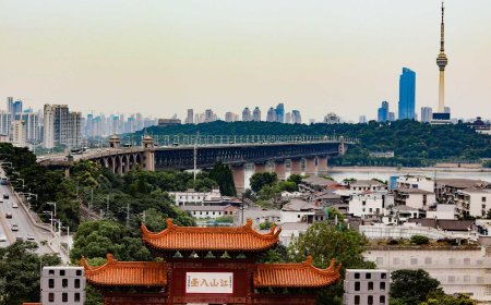 New Bat Coronavirus Discovered at Wuhan Lab