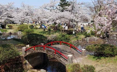 春の日本2025年 — 花、祭り、伝統の季節